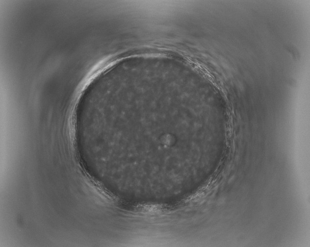 X0000115740295200912031433