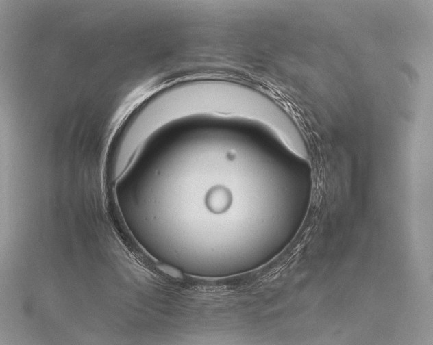 X0000115740296200912031433