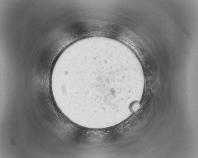 X0000115740297200912031433