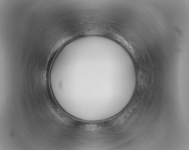 X0000115740298200912031433