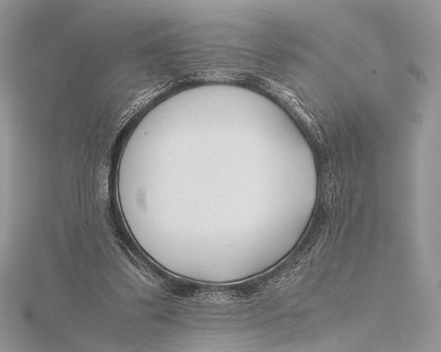 X0000115740299200912031433