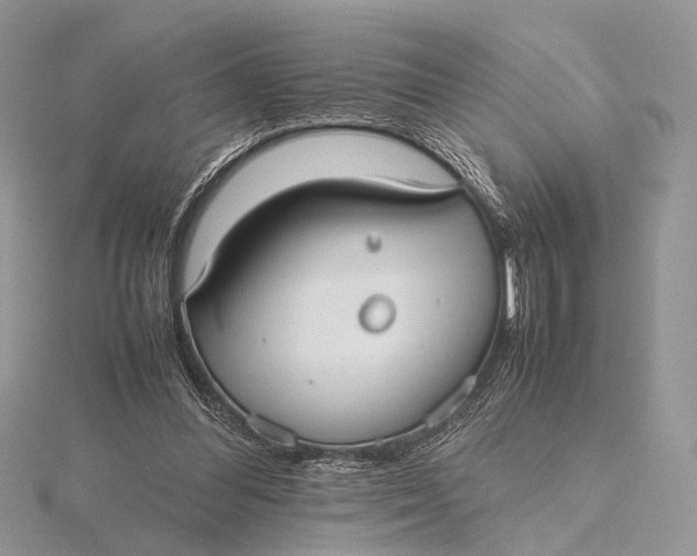 X0000115740300200912031433