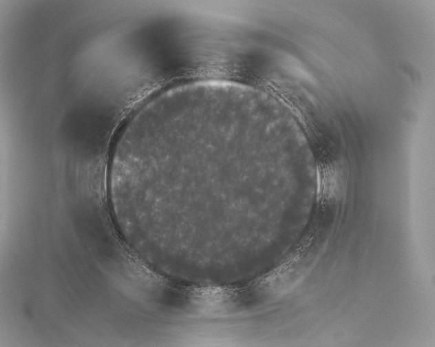 X0000115740301200912031433