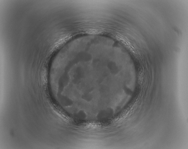 X0000115740303200912031433