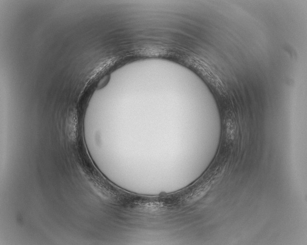 X0000115740304200912031433