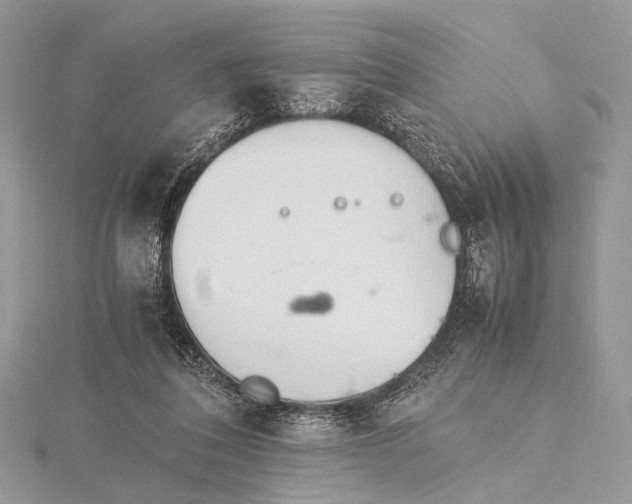 X0000115740308200912031433