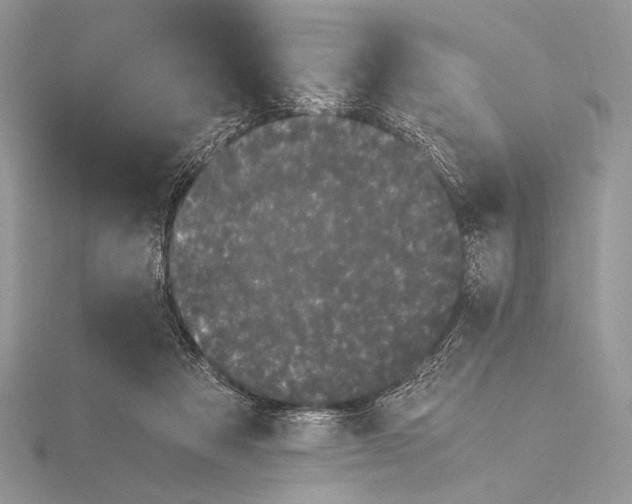 X0000115740313200912031433