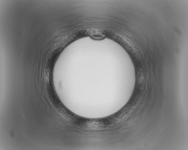 X0000115740315200912031433