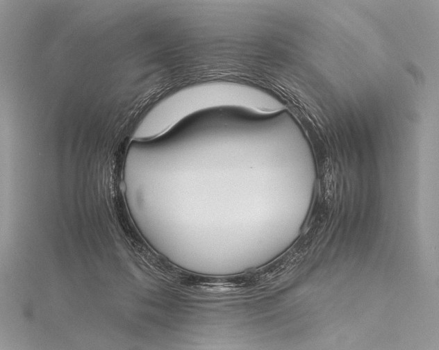 X0000115740316200912031433