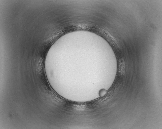 X0000115740318200912031433