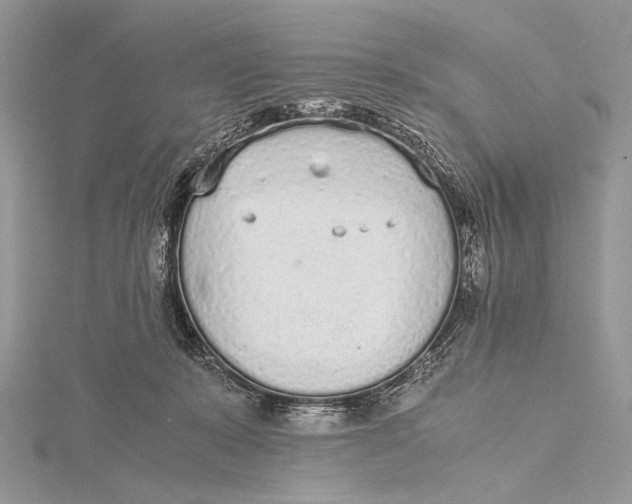 X0000115740319200912031432