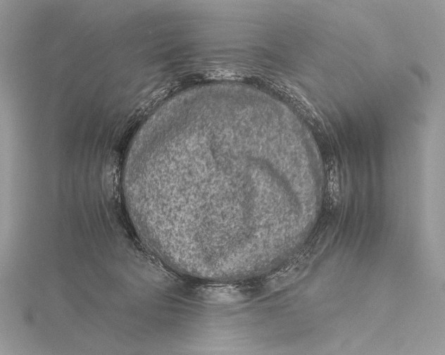 X0000115740322200912031432