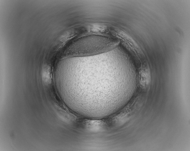 X0000115740324200912031432