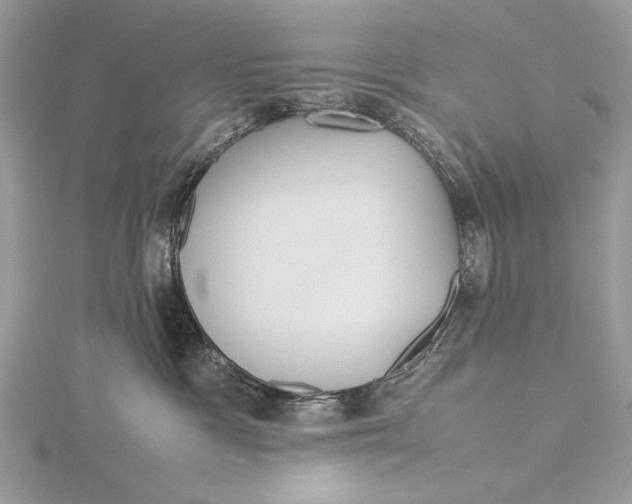 X0000115740333200912031432