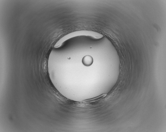 X0000115740336200912031432