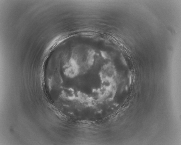 X0000115740339200912031432