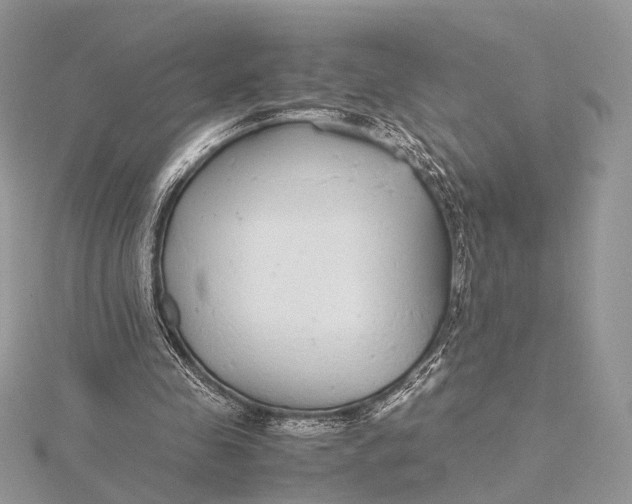 X0000115740341200912031432