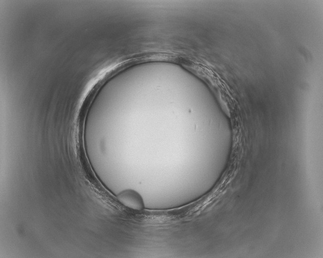 X0000115740342200912031432