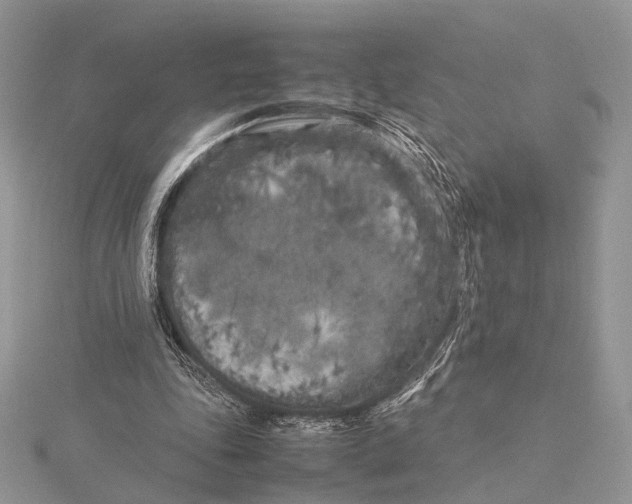 X0000115740343200912031432