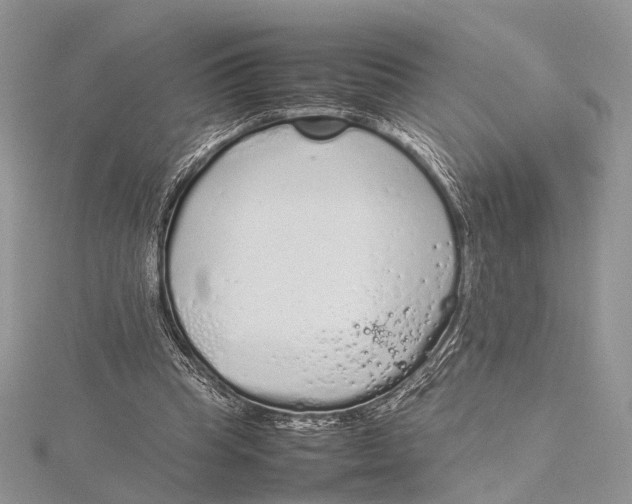 X0000115740345200912031432