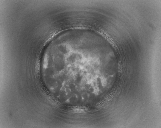 X0000115740347200912031432