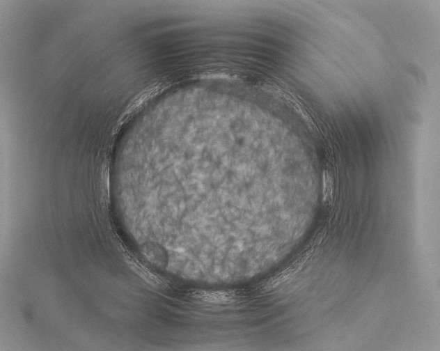 X0000115740349200912031432