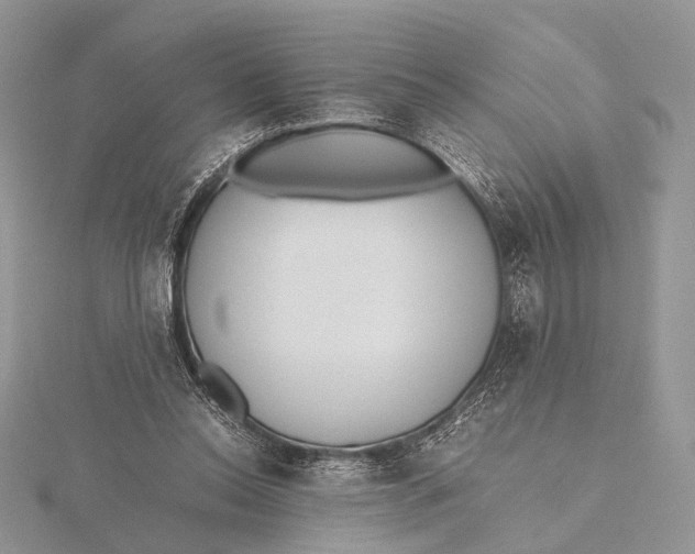 X0000115740350200912031432