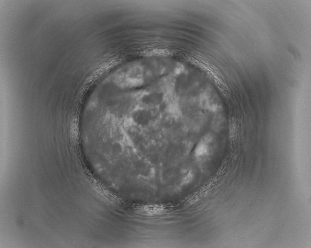 X0000115740353200912031432