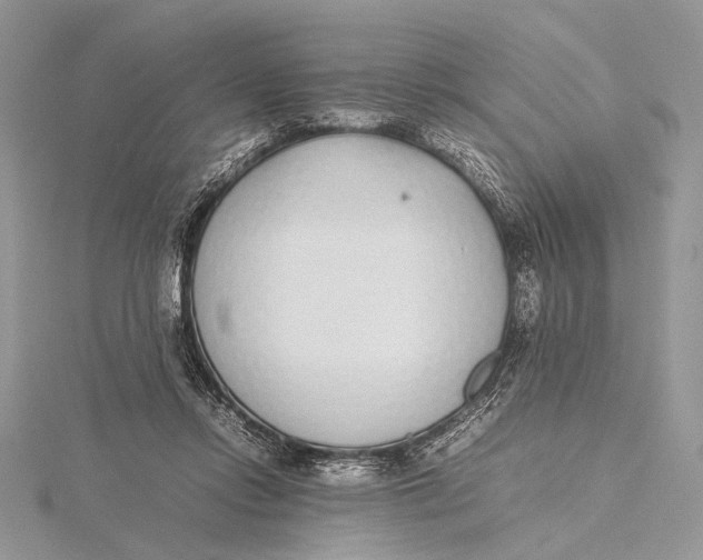 X0000115740358200912031432