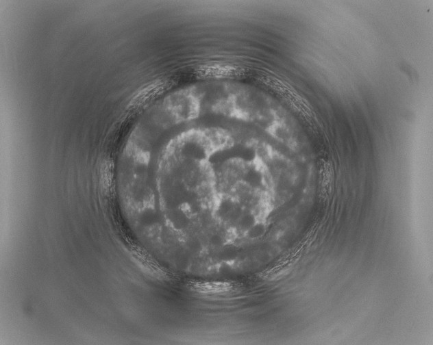 X0000115740361200912031432