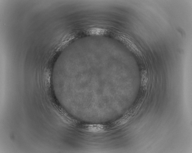 X0000115740363200912031432