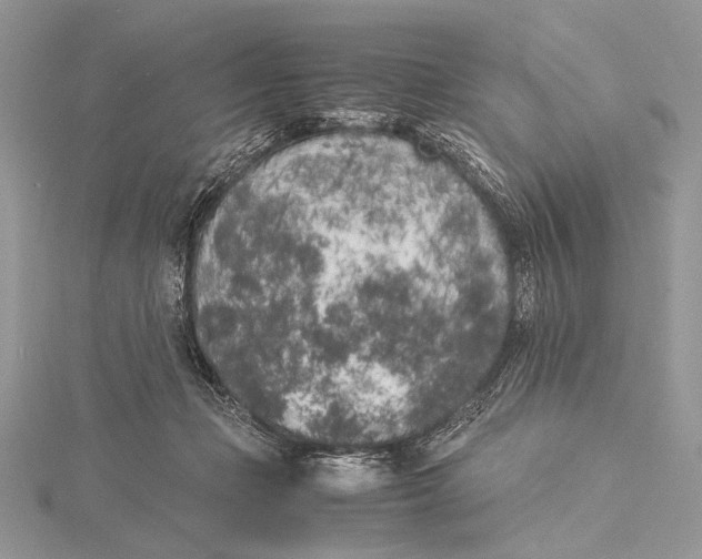 X0000115740365200912031432