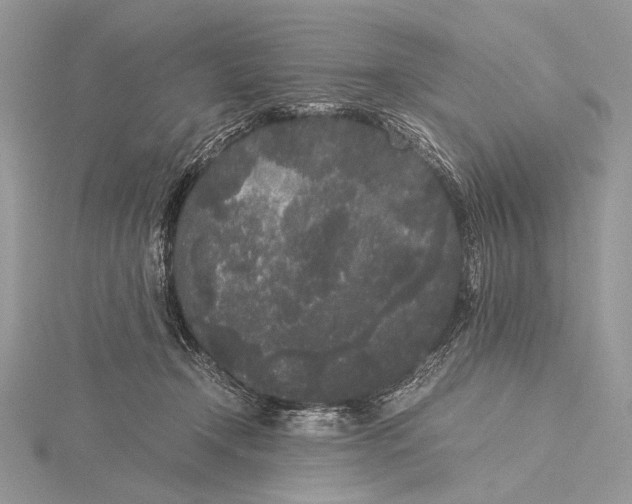 X0000115740366200912031432