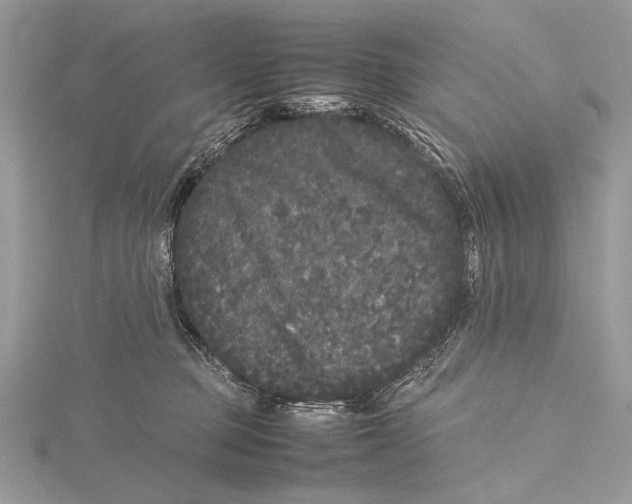 X0000115740373200912031432