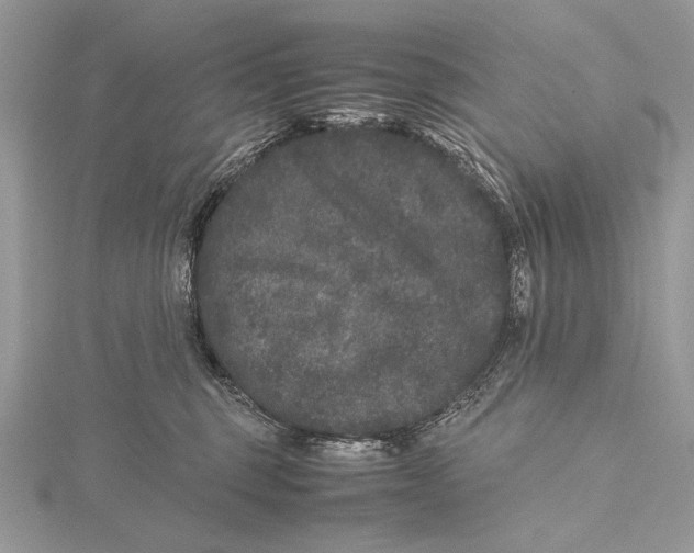 X0000115740375200912031432