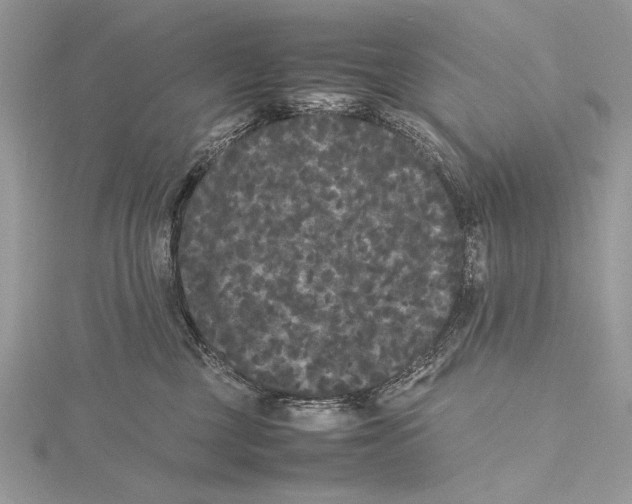 X0000115740377200912031432