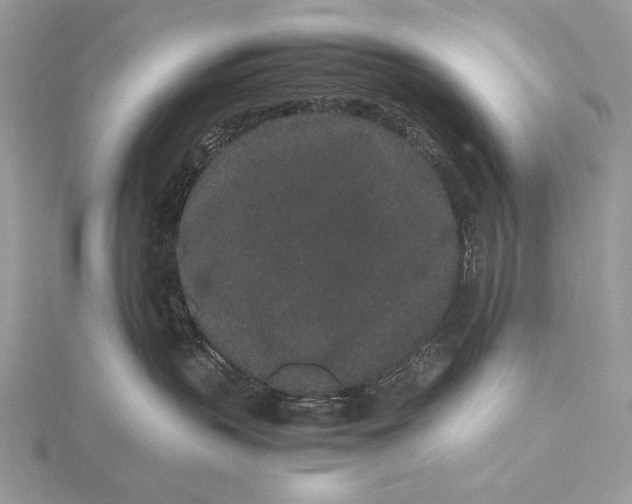 X0000115740383200912031432