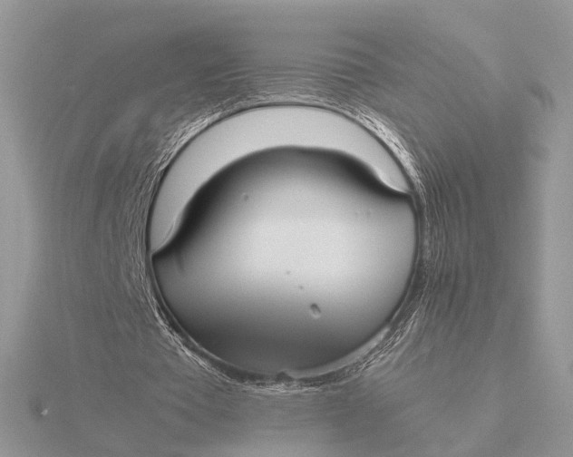 X0000115740385200912031432