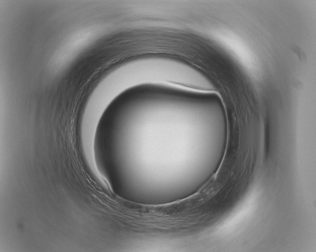 X0000115740387200912031432