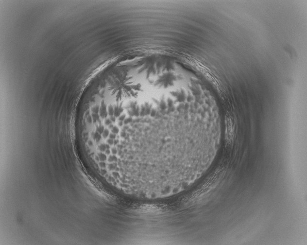 X0000115740390200912031432