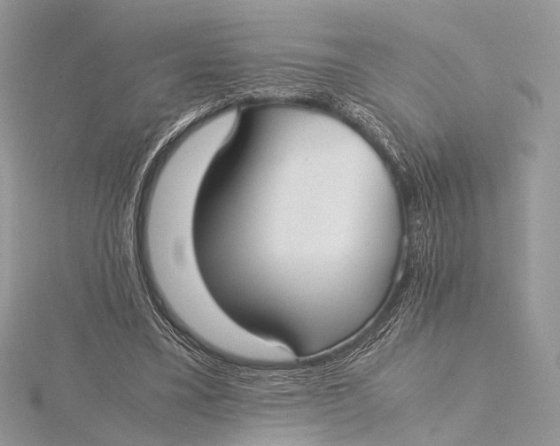 X0000115740395200912031432