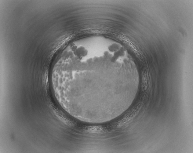 X0000115740398200912031431