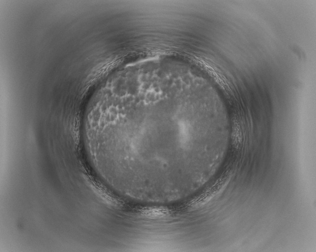 X0000115740402200912031431