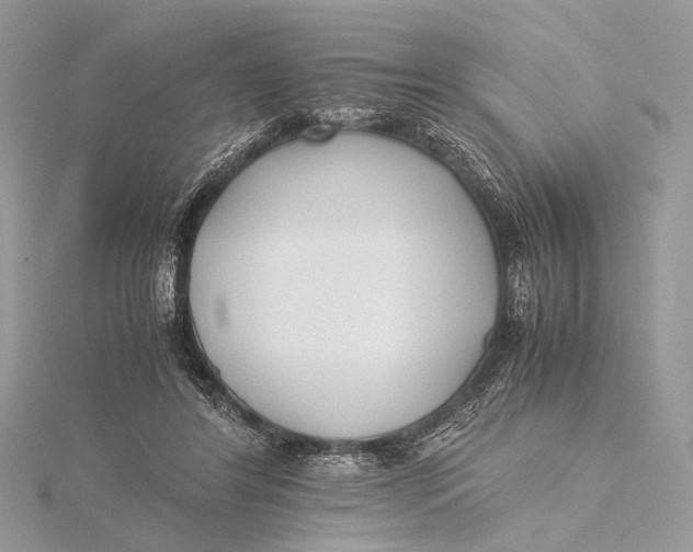 X0000115740404200912031431