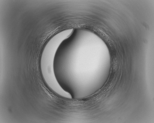 X0000115740405200912031431