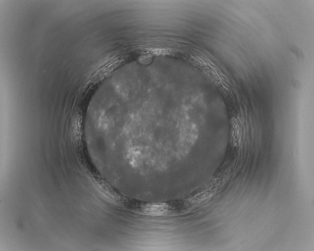 X0000115740410200912031431