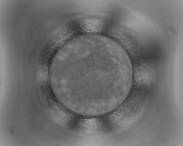 X0000115740411200912031431