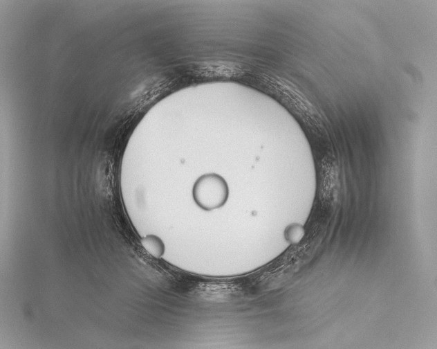 X0000115740414200912031431