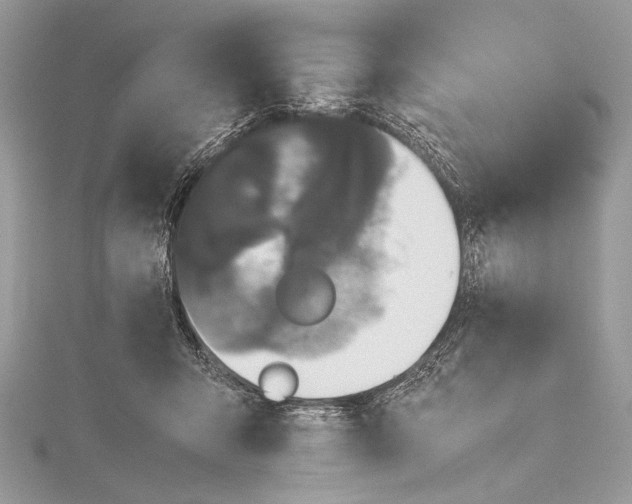 X0000115740415200912031431