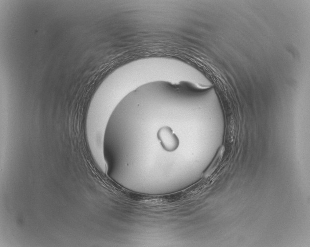 X0000115740417200912031431